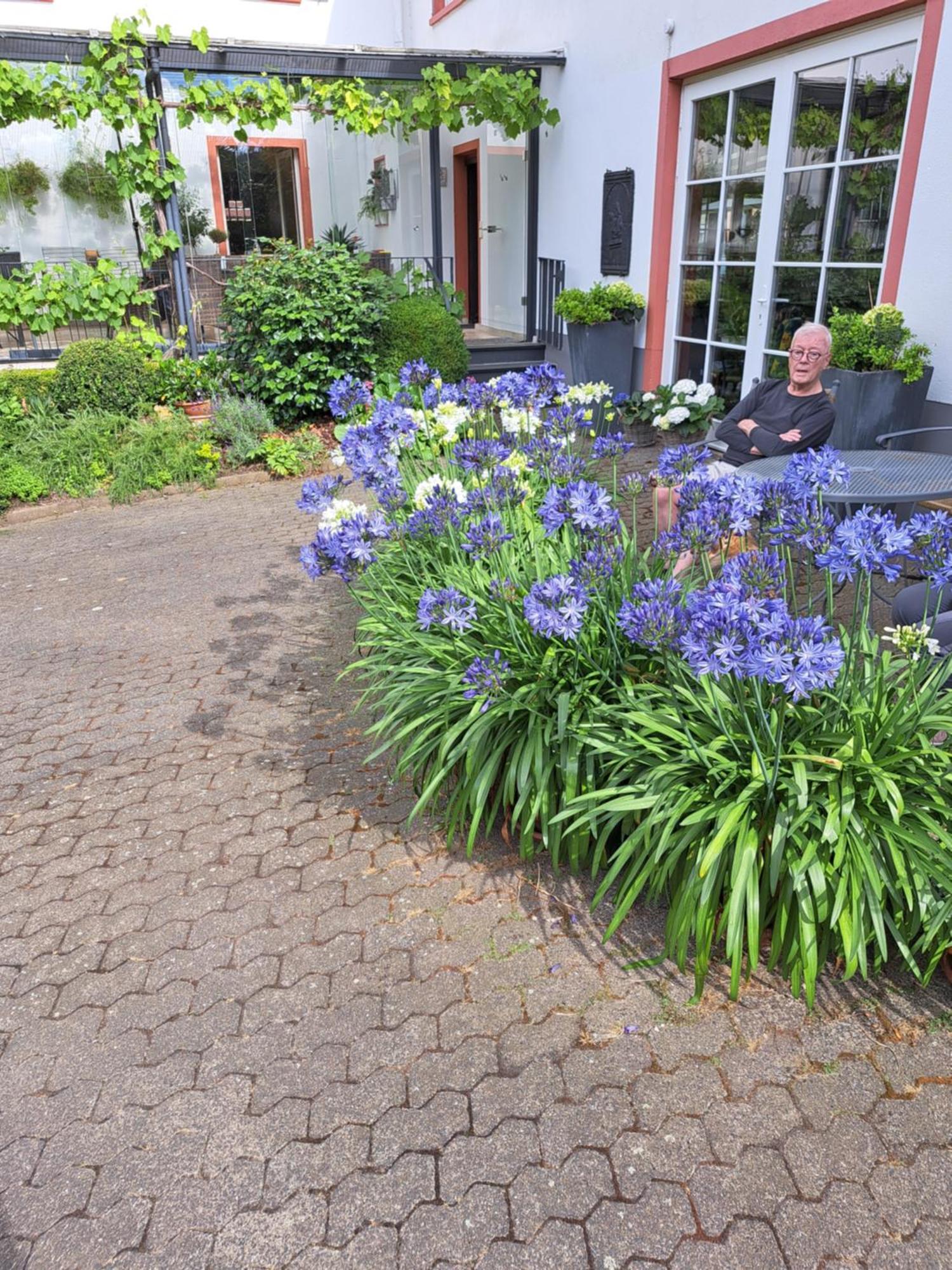 Landhauskiebel Erden Exterior photo